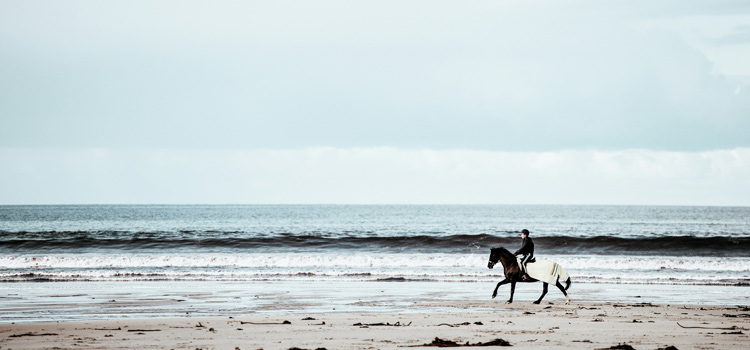 Balade à cheval à La Palmyre